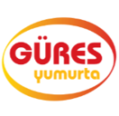 Gures